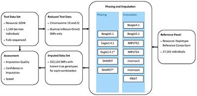 Assessment of Imputation Quality: Comparison of Phasing and Imputation Algorithms in Real Data